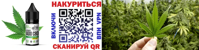 гидра   Олонец  Cannafood конопля 