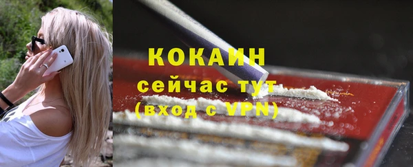 тгк Алексин